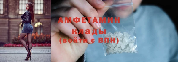 ПСИЛОЦИБИНОВЫЕ ГРИБЫ Богданович