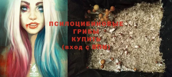 мяу мяу кристалл Верея