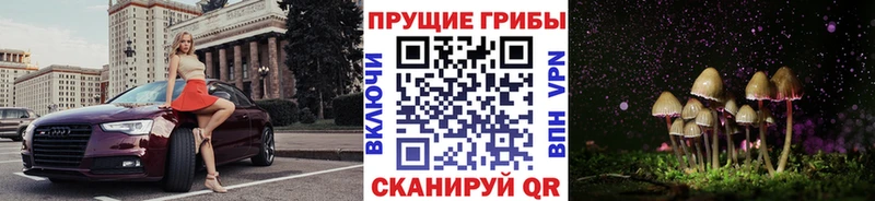 Псилоцибиновые грибы прущие грибы  ОМГ ОМГ вход  Сретенск 